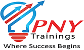 PNY logo